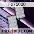 Fx75000 17